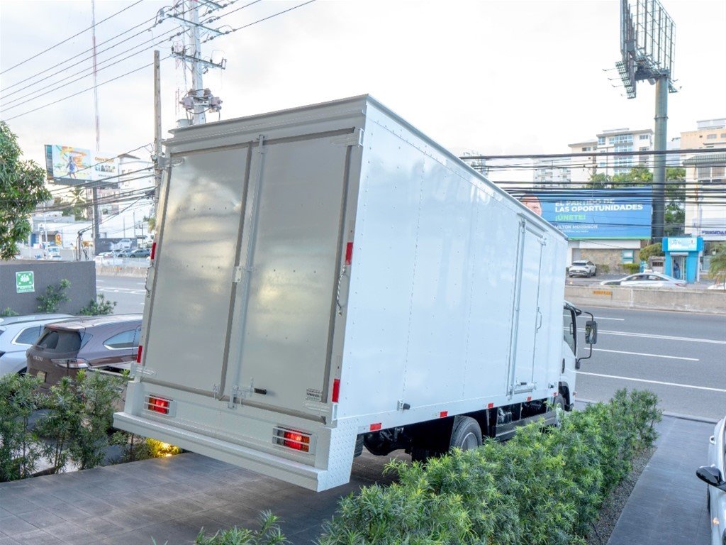 Isuzu Camion Furgon