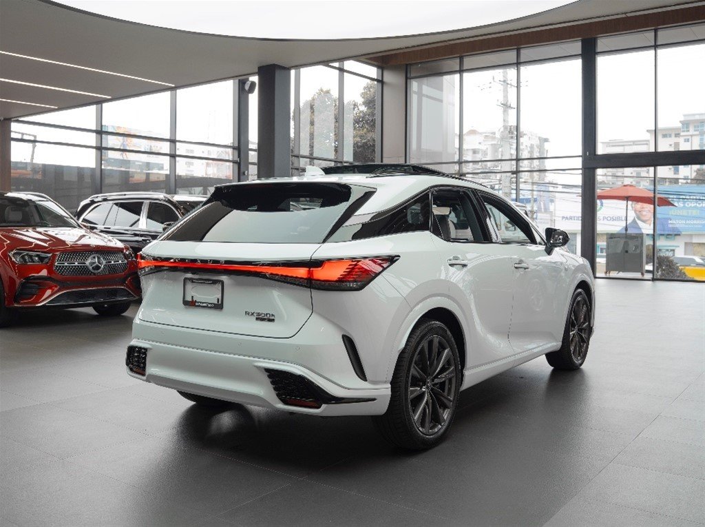 Lexus RX 500H F SPORT